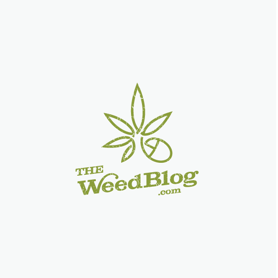 The Weed Blog Reviews Confident Cannabis Connect - Confident  CannabisConfident Cannabis